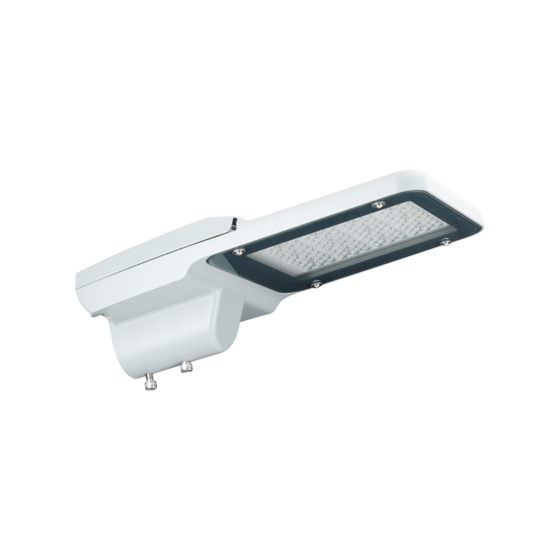 Đèn chiếu sáng đường phố LED ngoài trời IP66 PACIFIC LITE Series chống nước